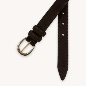 Dark Brown Gold Suede Belt