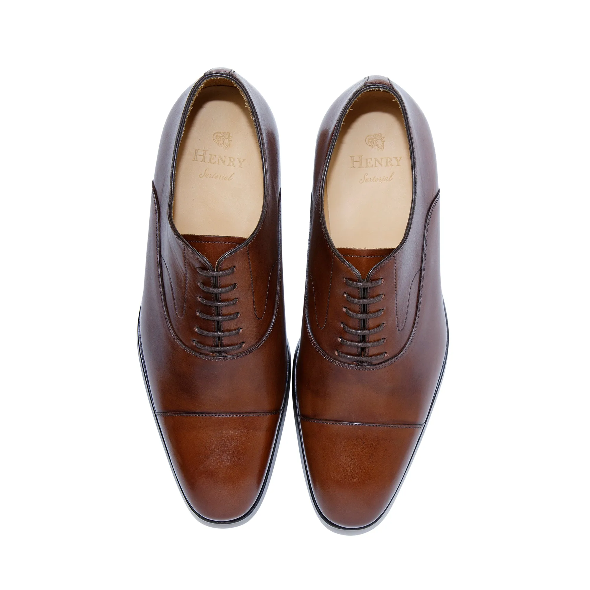HENRY SARTORIAL Danby Oxford DARK CHOCOLATE